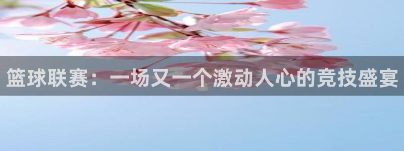 篮球联赛：一场又一个激动人心的竞技盛宴