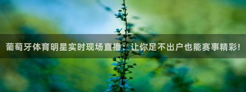 葡萄牙体育明星实时现场直播：让你足不出户也能赛事精彩!