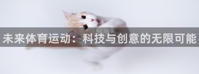 未来体育运动：科技与创意的无限可能
