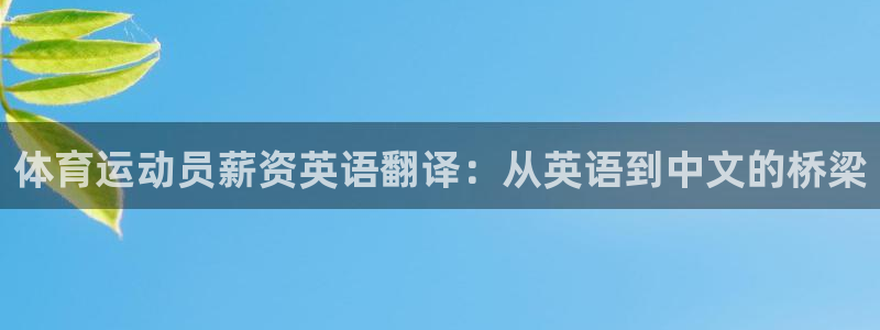 体育运动员薪资英语翻译：从英语到中文的桥梁