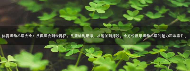 体育运动术语大全：从奥运会到世界杯，从篮球到足球，从瑜伽到摔跤，全方位展示运动术语的魅力和丰富性。