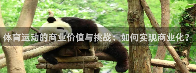 体育运动的商业价值与挑战：如何实现商业化？