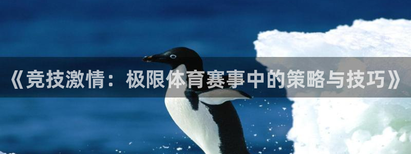 《竞技激情：极限体育赛事中的策略与技巧》