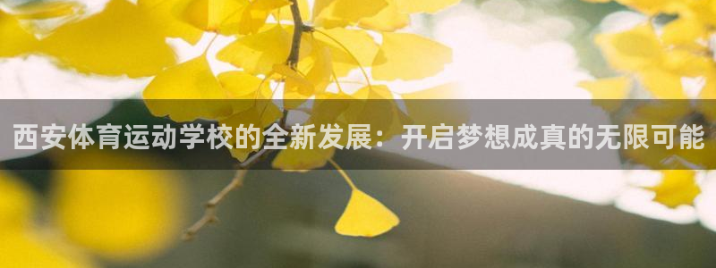 西安体育运动学校的全新发展：开启梦想成真的无限可能