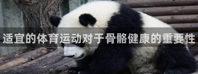 适宜的体育运动对于骨骼健康的重要性