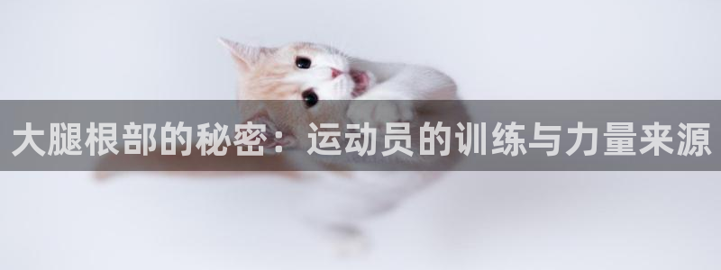 大腿根部的秘密：运动员的训练与力量来源