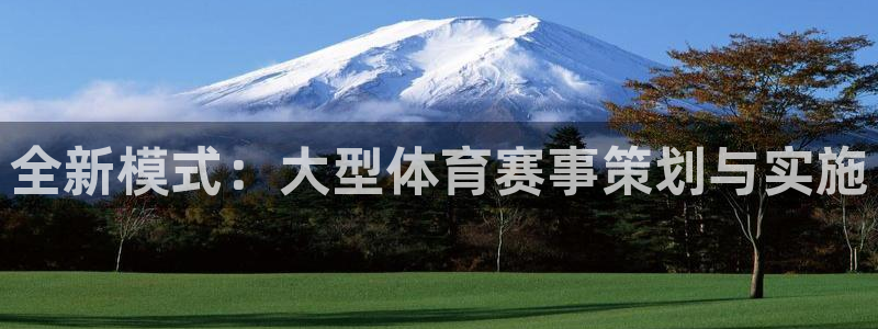 全新模式：大型体育赛事策划与实施