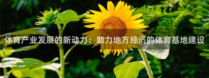 体育产业发展的新动力：助力地方经济的体育基地建设