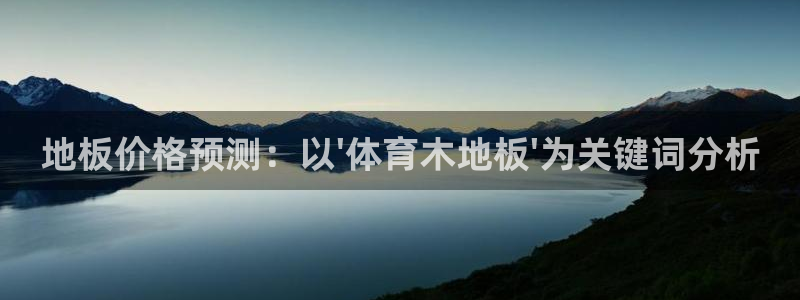 地板价格预测：以\'体育木地板\'为关键词分析